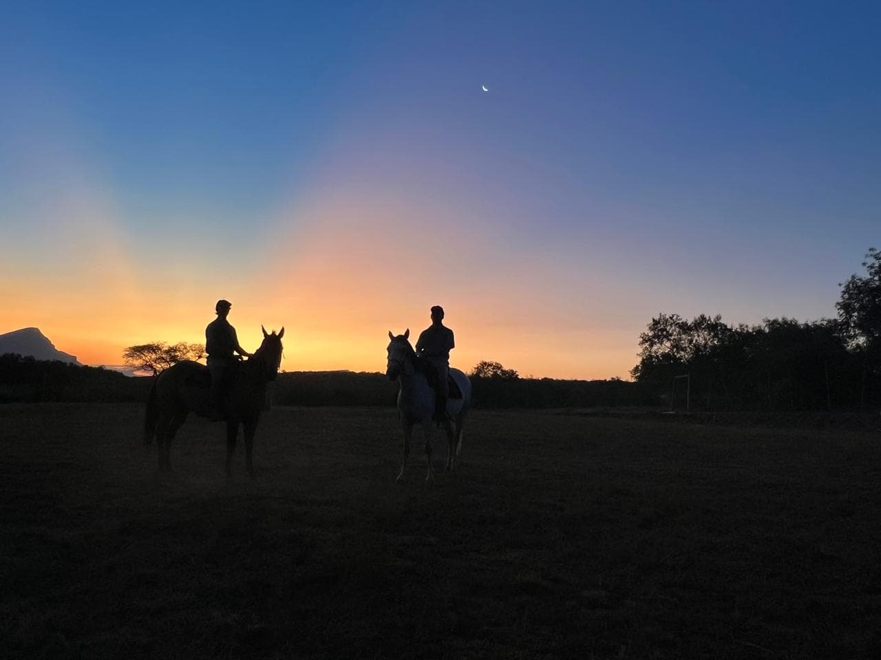 Riders silhouetted at blue hour